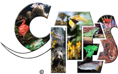 CITES: Mit jelent és mit érdemes tudni róla? - Állatvilág magazin
