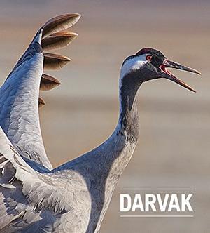 DARVAK   - Állatvilág magazin