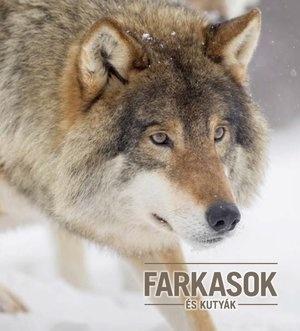 FARKASOK és kutyák - Állatvilág magazin